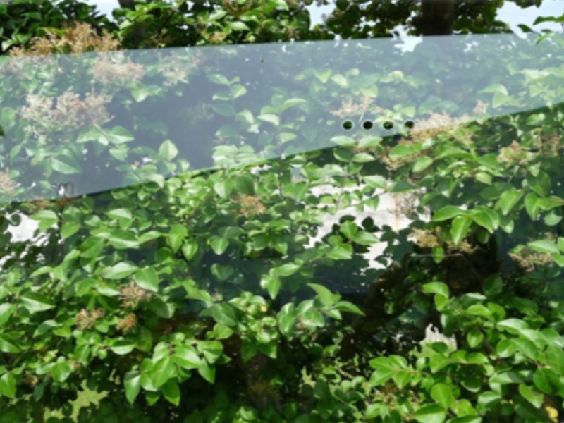 Backboard Drilling Tempered Glass